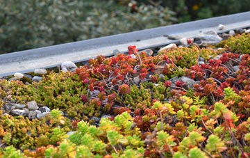 the cost of Pantygasseg green roof installation