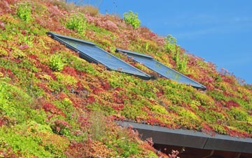 Pantygasseg living roof systems