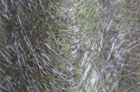 Pantygasseg fibreglass roof work