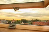 rated Pantygasseg roof window companies